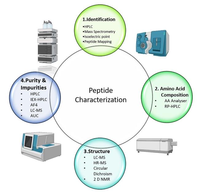 peptide identity testing methods